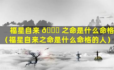 福星自来 💐 之命是什么命格（福星自来之命是什么命格的人）